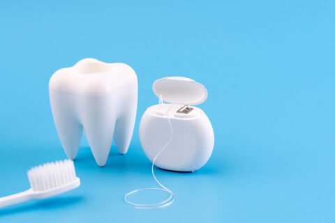 A tooth prototype with dental floss
